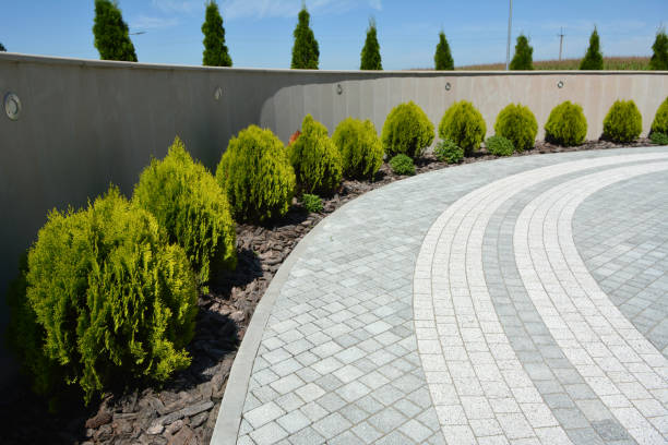 Best Affordable Driveway Pavers  in Acres Green, CO