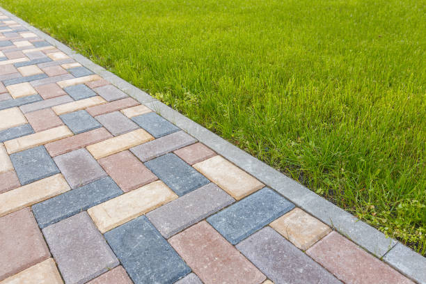 Best Professional Driveway Pavers  in Acres Green, CO